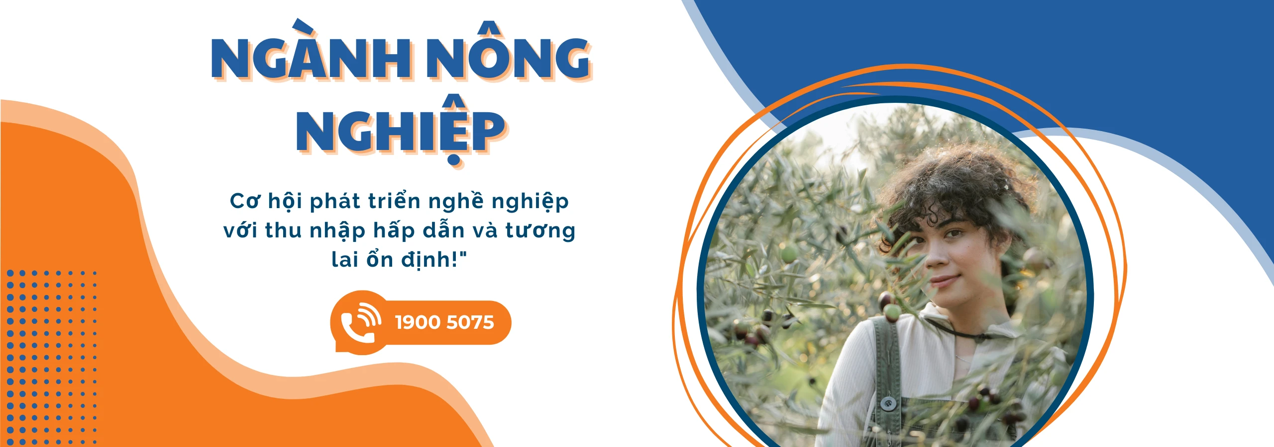 Ngành nông nghiệp trồng cây oliu, nho, táo